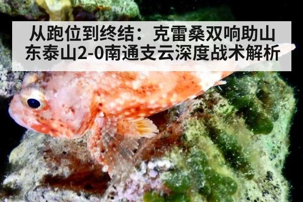 从跑位到终结：克雷桑双响助山东泰山2-0南通支云深度战术解析